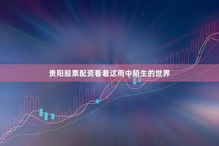 贵阳股票配资看着这雨中陌生的世界
