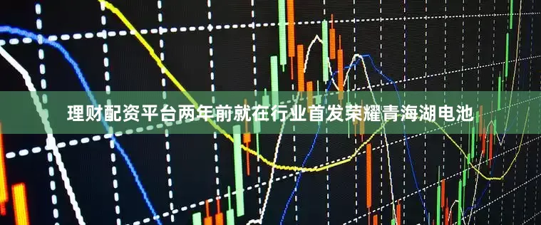 理财配资平台两年前就在行业首发荣耀青海湖电池