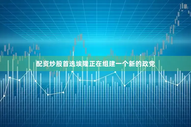 配资炒股首选埃隆正在组建一个新的政党
