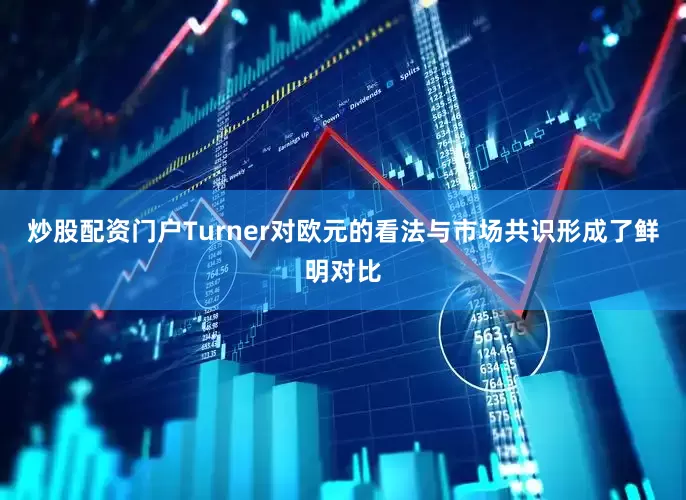 炒股配资门户Turner对欧元的看法与市场共识形成了鲜明对比