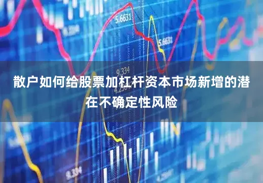散户如何给股票加杠杆资本市场新增的潜在不确定性风险